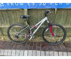 Grey & Pink MTB Raleigh