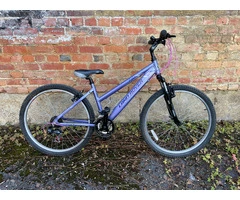 Purple MTB Land Rover