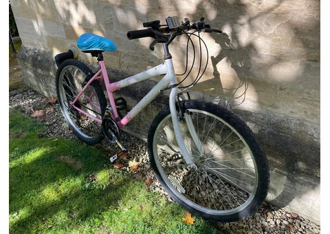 White and Pink MTB Challenge - 2/2