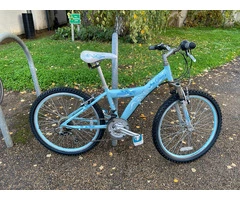 Blue MTB Raleigh Diva