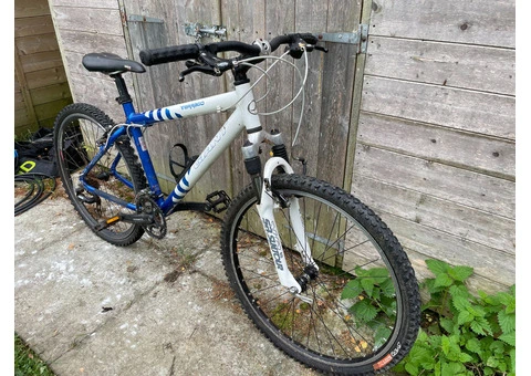 White & Blue MTB Giant