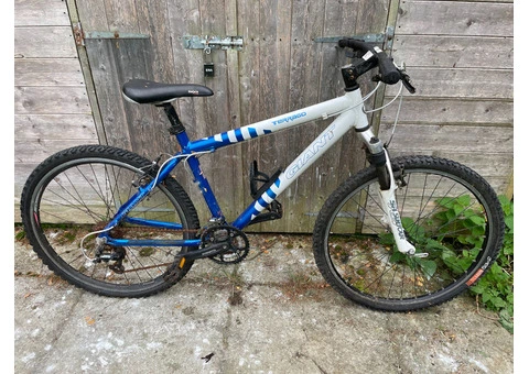 White & Blue MTB Giant - 2/2