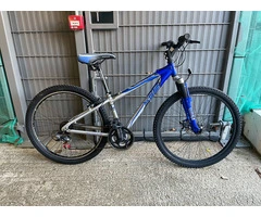 Blue & Silver MTB Apollo XC