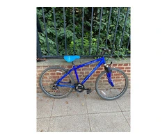 Blue MTB Apollo XC26