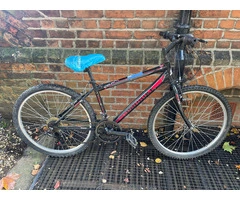 Black & Red MTB Probike