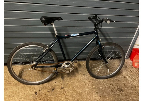 Navy Hybrid Raleigh