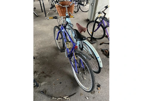 Blue MTB Viper - 2/2