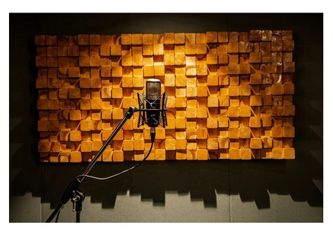 Resonance Rhapsody: A Serene Sanctuary for Sonic Stories at Voice Nest Recording Studio