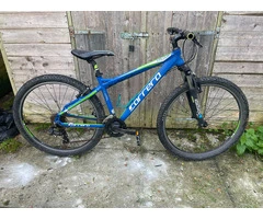 Blue & Green MTB Carrera