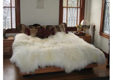 Sheepskin Cleaning Service