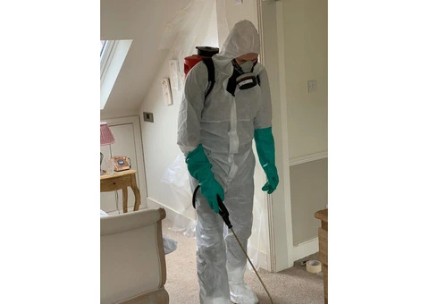 Moth Pest Control Richmond
