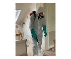 Moth Pest Control Richmond