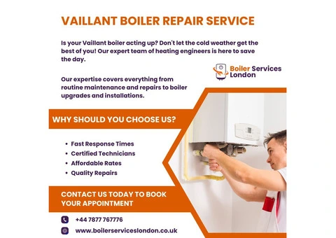 Vaillant EcoTEC Pro Boiler Repair in Hackney: Get Expert Help Today