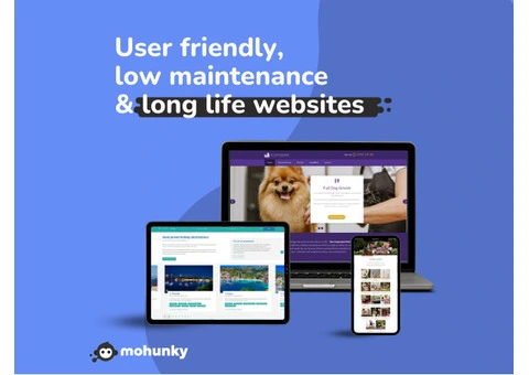 User friendly | Low maintenance | Website design by Mohunky - 1/7