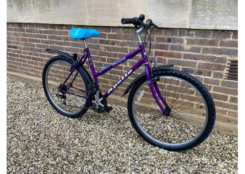 Purple Hybrid Apollo