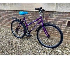 Purple Hybrid Apollo