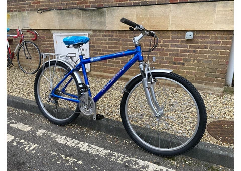 Blue MTB Raleigh