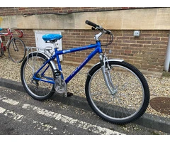 Blue MTB Raleigh