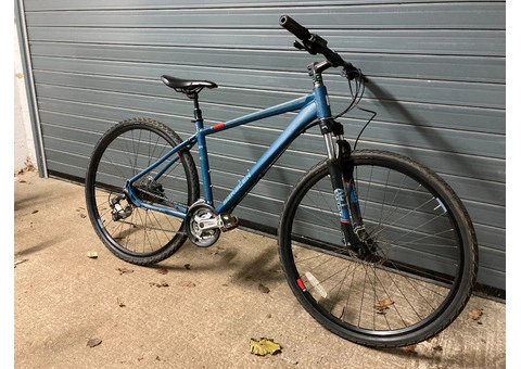 Blue and Orange Hybrid Saracen