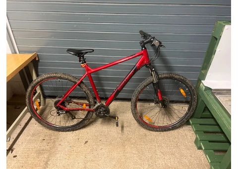 Red MTB Bergamot