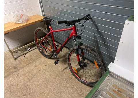 Red MTB Bergamot - 2/2