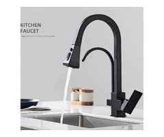 Black Brass Multi-functional Pull Out Spray T-Pipe Drinking Water Kitchen Tap TB0228D