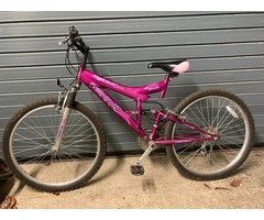 Purple MTB Suseed
