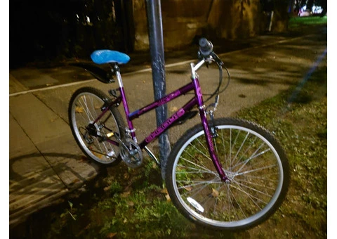 Purple MTB Exodus