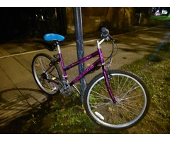 Purple MTB Exodus