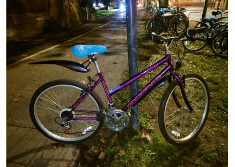 Purple MTB Exodus - 2/2