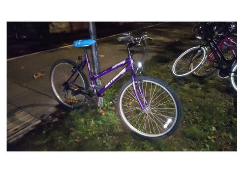 Purple MTB Universal