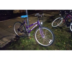 Purple MTB Universal