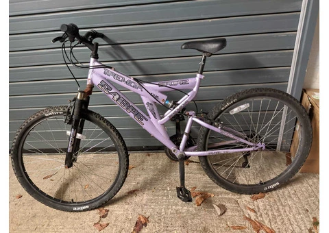 Pink Road Sabre - 1/3