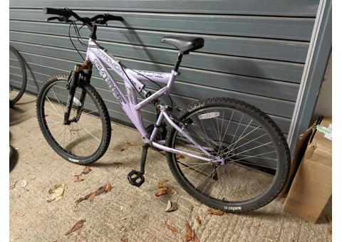 Pink Road Sabre - 2/3
