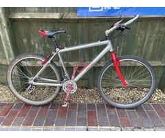 Silver & Red MTB Redd
