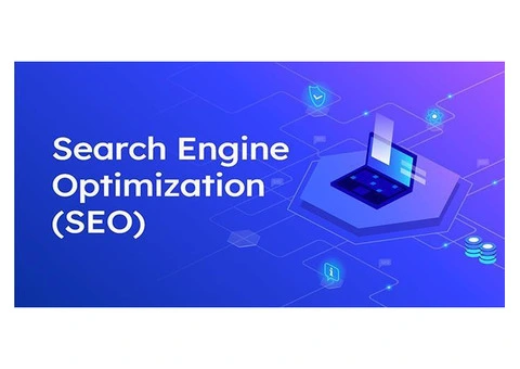 Sprout Media - Best local SEO company in London