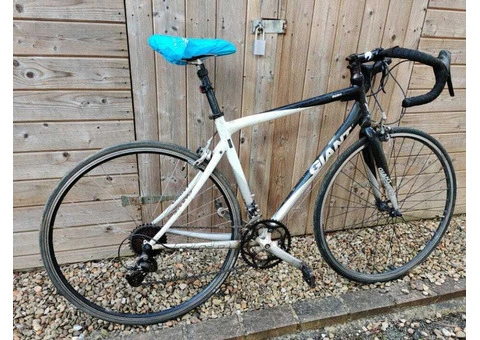 BYKE Ltd: Grey and Black Road Giant - 2/2