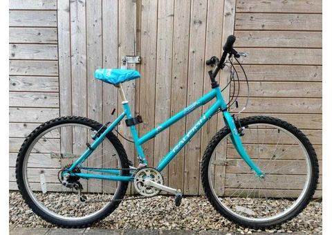 BYKE Ltd: Light Blue MTB Raleigh