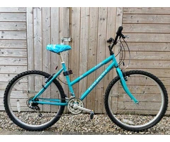 BYKE Ltd: Light Blue MTB Raleigh