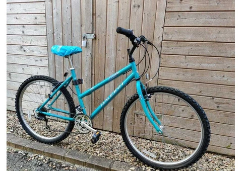 BYKE Ltd: Light Blue MTB Raleigh - 2/2