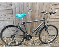 BYKE Ltd: Grey MTB Raleigh Max
