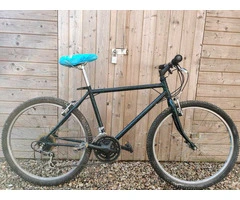BYKE Ltd: Black and Green MTB Raleigh