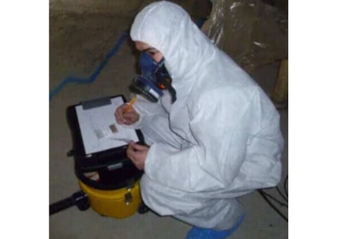 Asbestos Management Survey Service: All About Asbestos