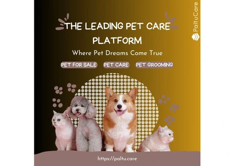 Pet Sitters & Dog Sitters in London