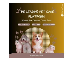 Pet Sitters & Dog Sitters in London