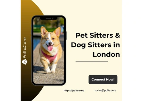 Pet Sitters & Dog Sitters in London - 2/2