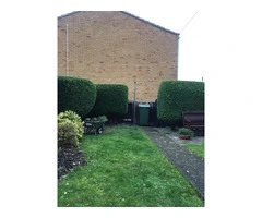 Professional Tree and Garden Services by James Watts Tree And Garden Services in Gloucester