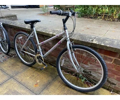 BYKE Ltd: Silver & Pink MTB Dream