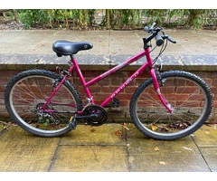BYKE Ltd: Pink MTB Apollo Zone