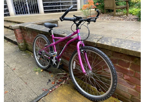 BYKE Ltd: Pink MTB Apollo Siren - 2/2